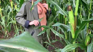 couple having sex in a public cornfield - loving the thrill to get caught